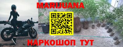 гашик Малгобек