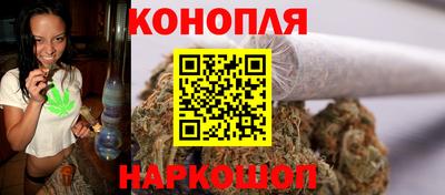 гашик Малгобек