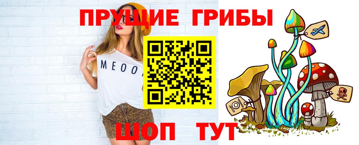 Псилоцибиновые грибы MAGIC MUSHROOMS  Вход с VPN  Геленджик  Псилоцибиновые грибы Cubensis 